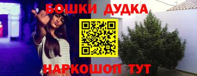 PSILOCYBIN Балахна