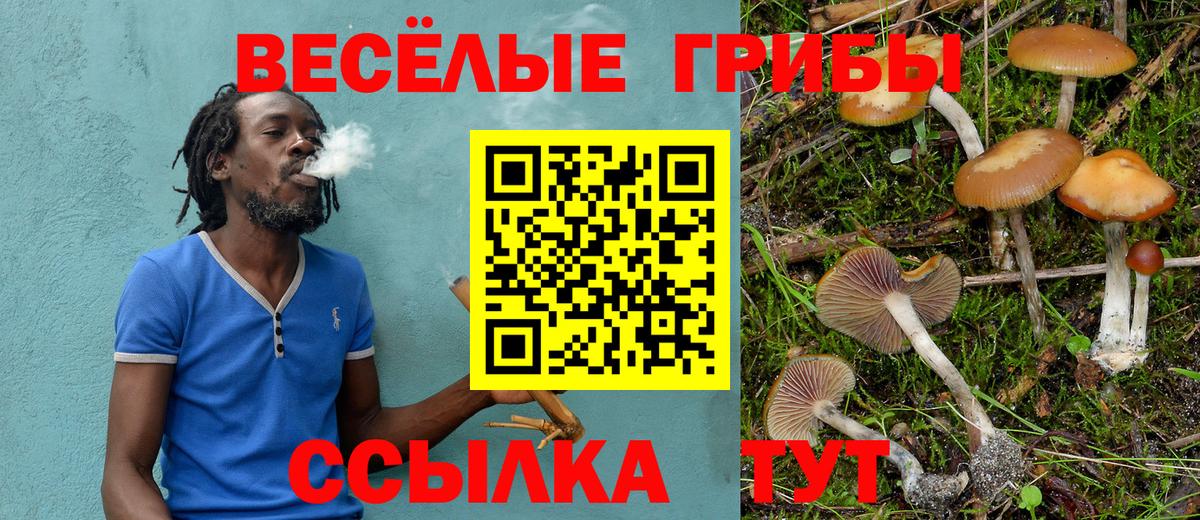 Галлюциногенные грибы прущие грибы  Вход с VPN  что такое   Галлюциногенные грибы прущие грибы  Гай 