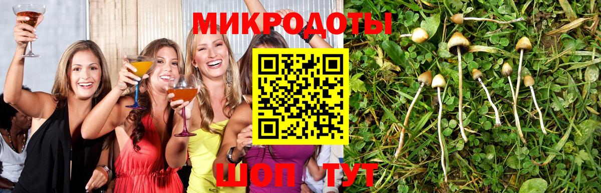 Псилоцибиновые грибы ЛСД Гай